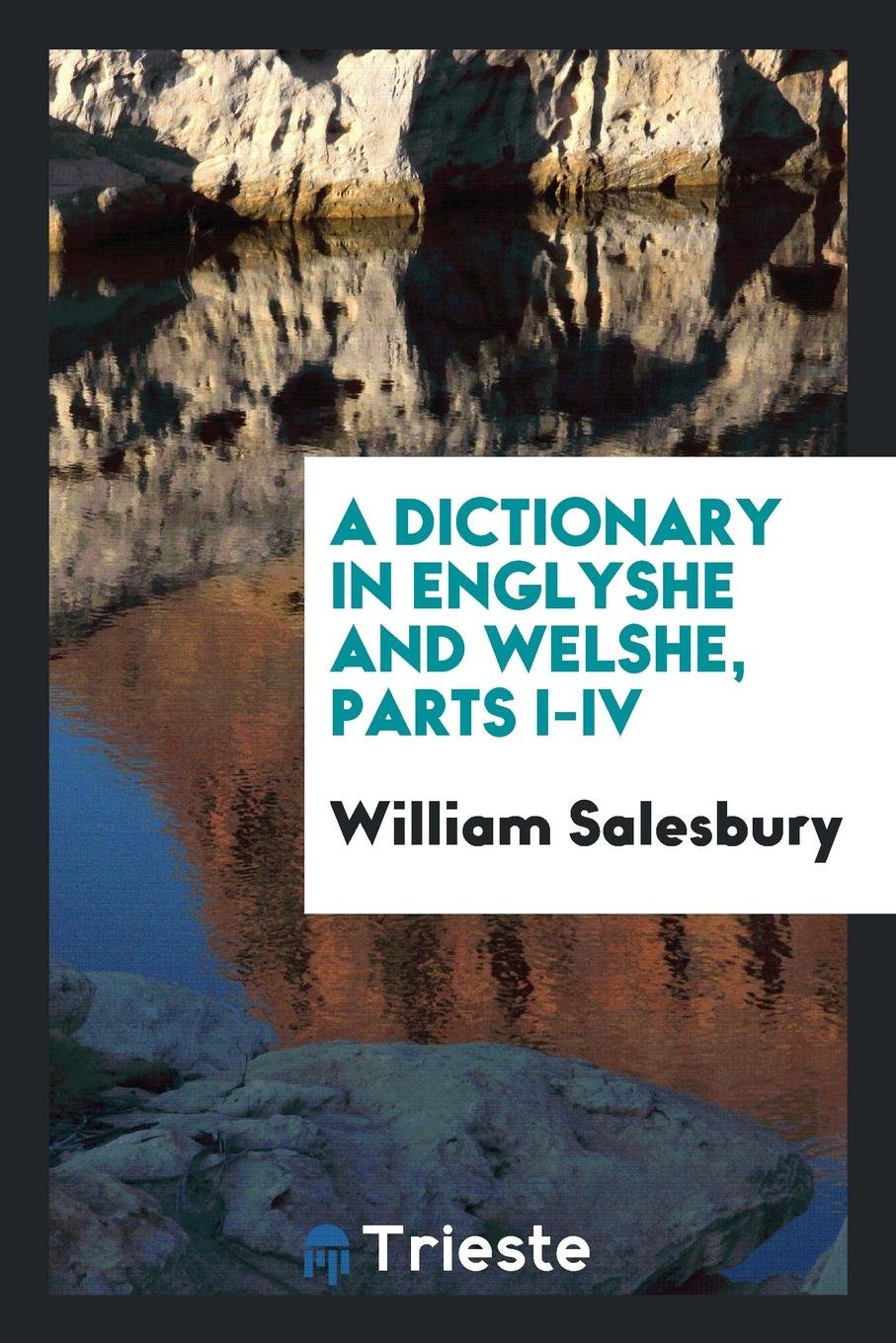 A Dictionary in Englyshe and Welshe Moche Necessary to All Suche Welshemen as Wil Spedly Learne ... Contemporary literature