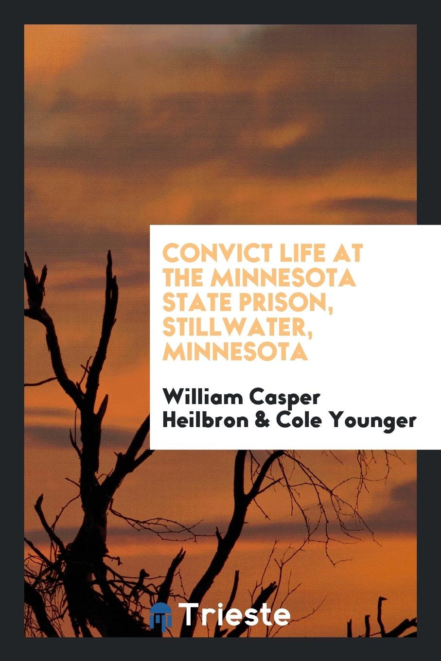 Convict Life at the Minnesota State Prison, Stillwater, Minnesota Books