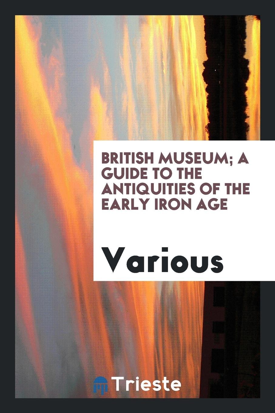 A Guide to the Antiquities of the Early Iron Age of Central and Western Europe: (including the ... Social Sciences