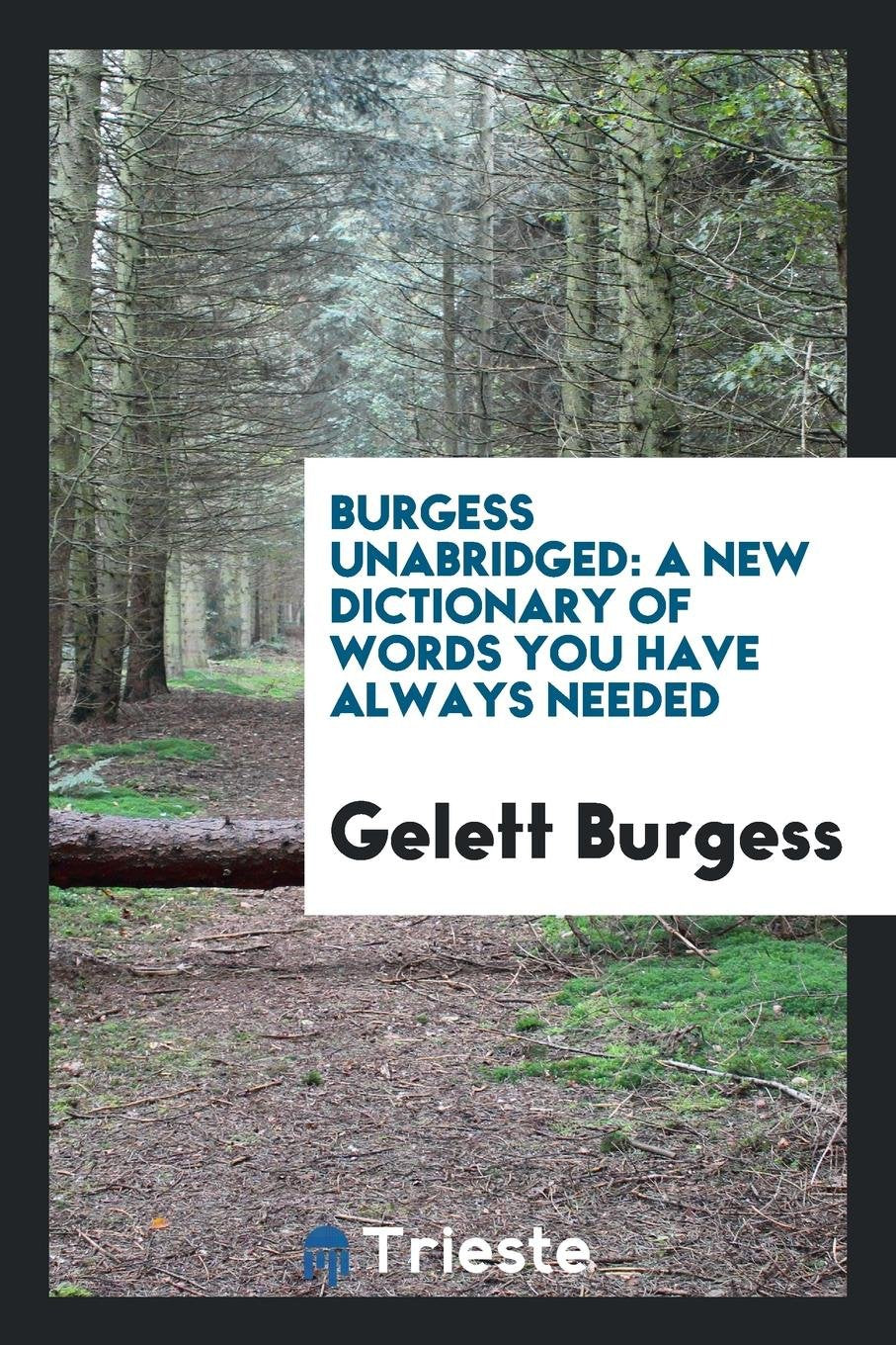 Burgess Unabridged: A New Dictionary of Words You Have Always Needed Contemporary literature