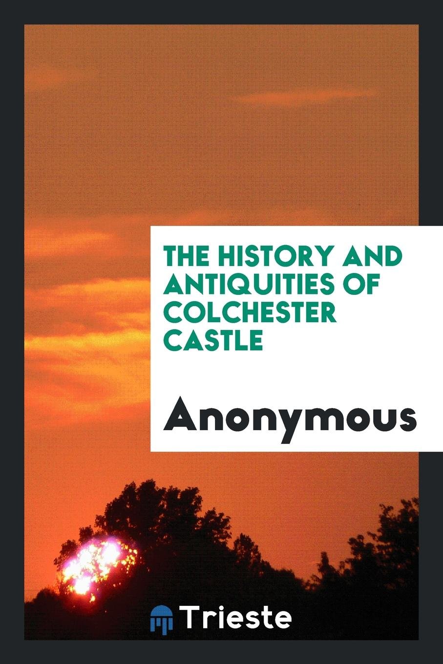 The History and Antiquities of Colchester Castle Social Sciences