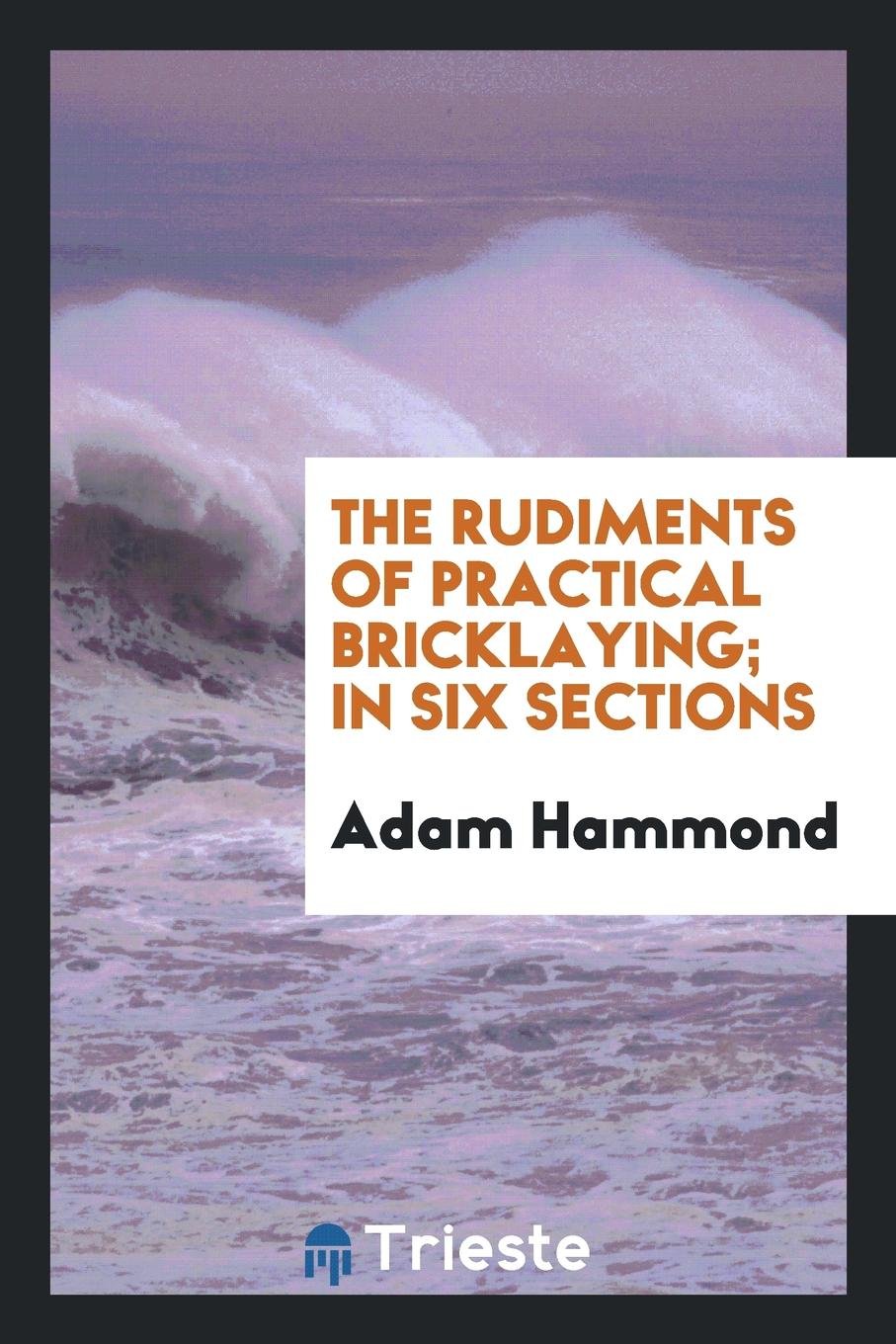 The Rudiments of Practical Bricklaying Non-fiction