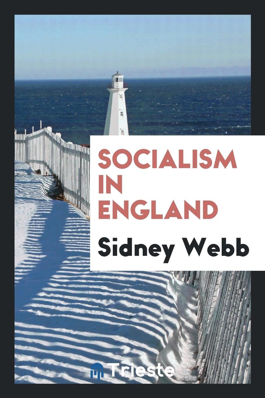 Product Image: Socialism in England