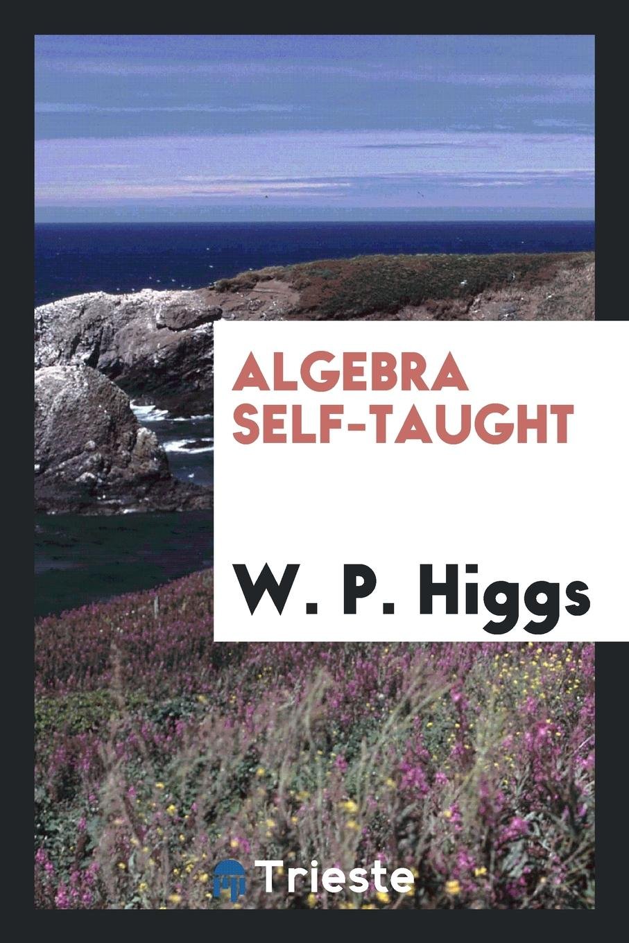 Product Image: Algebra Self-Taught