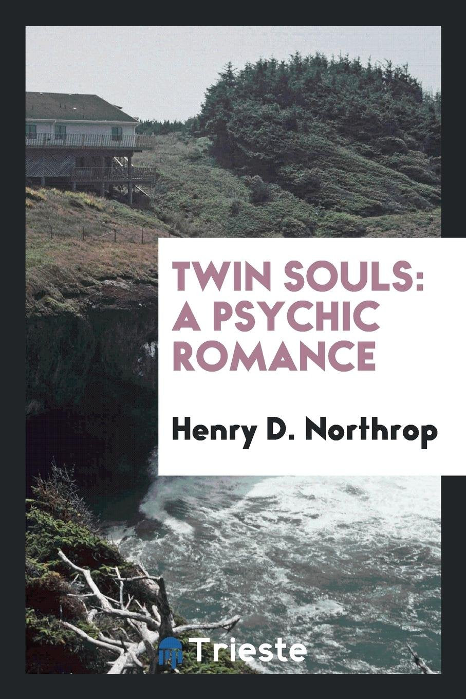 Twin Souls: A Psychic Romance Social Sciences