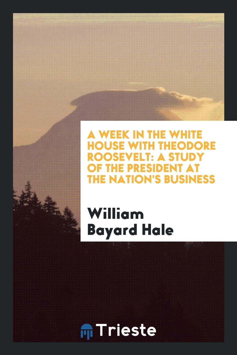 A Week in the White House with Theodore Roosevelt: A Study of the President at the Nation's Business Art & Literature