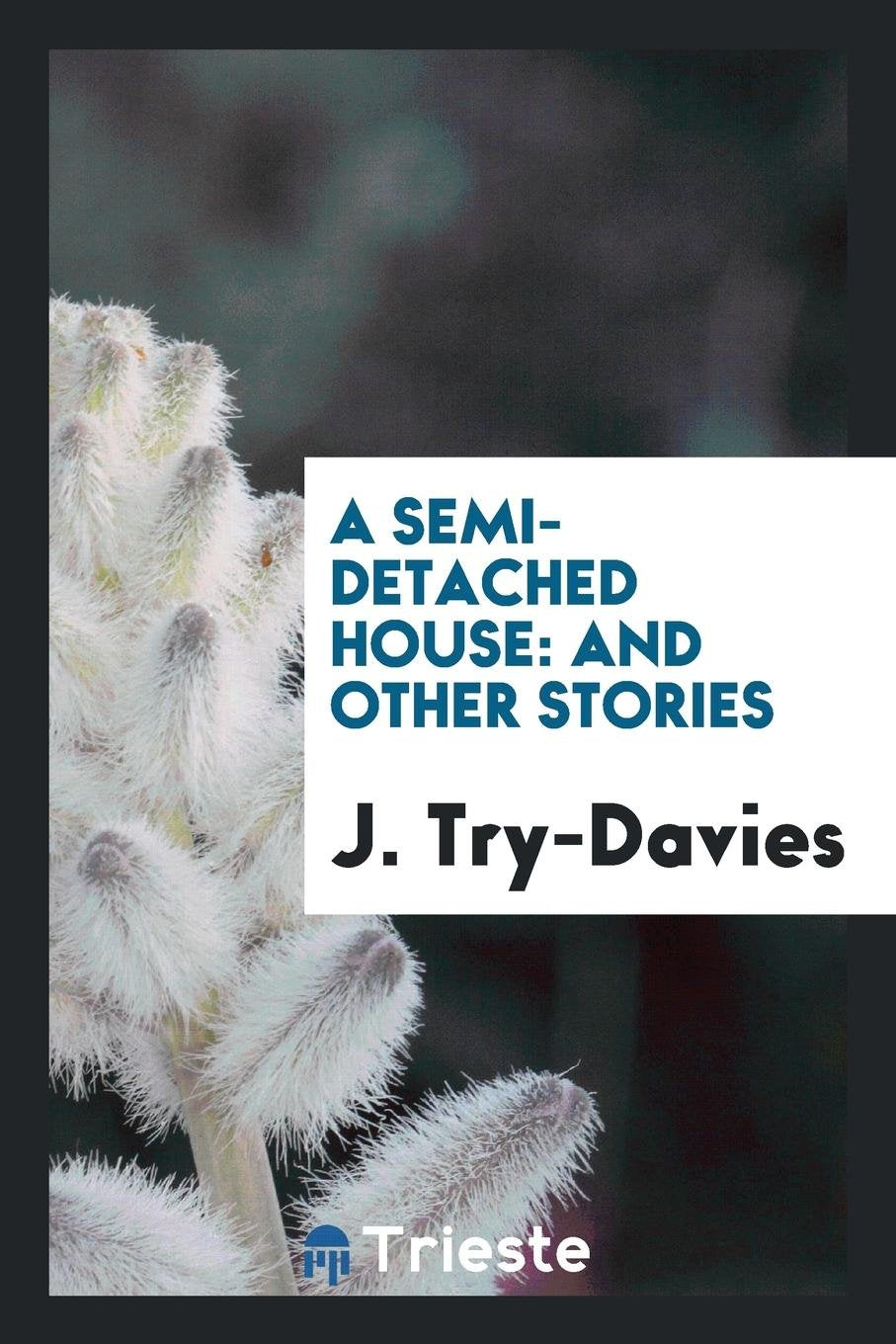 A Semi-Detached House: And Other Stories Social Sciences