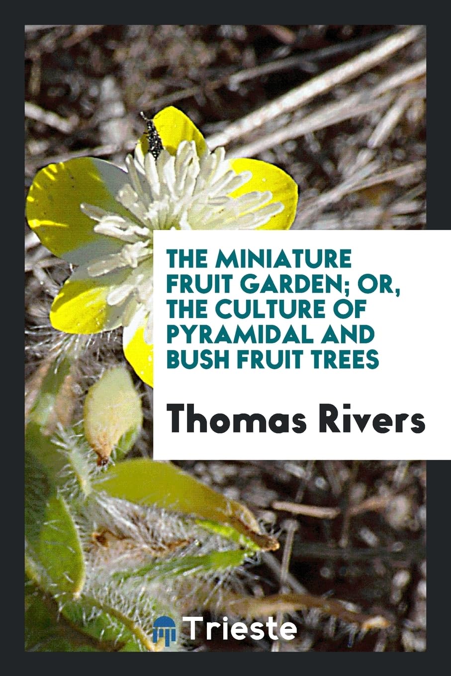The Miniature Fruit Garden; Or, the Culture of Pyramidal and Bush Fruit Trees Garden & Plants