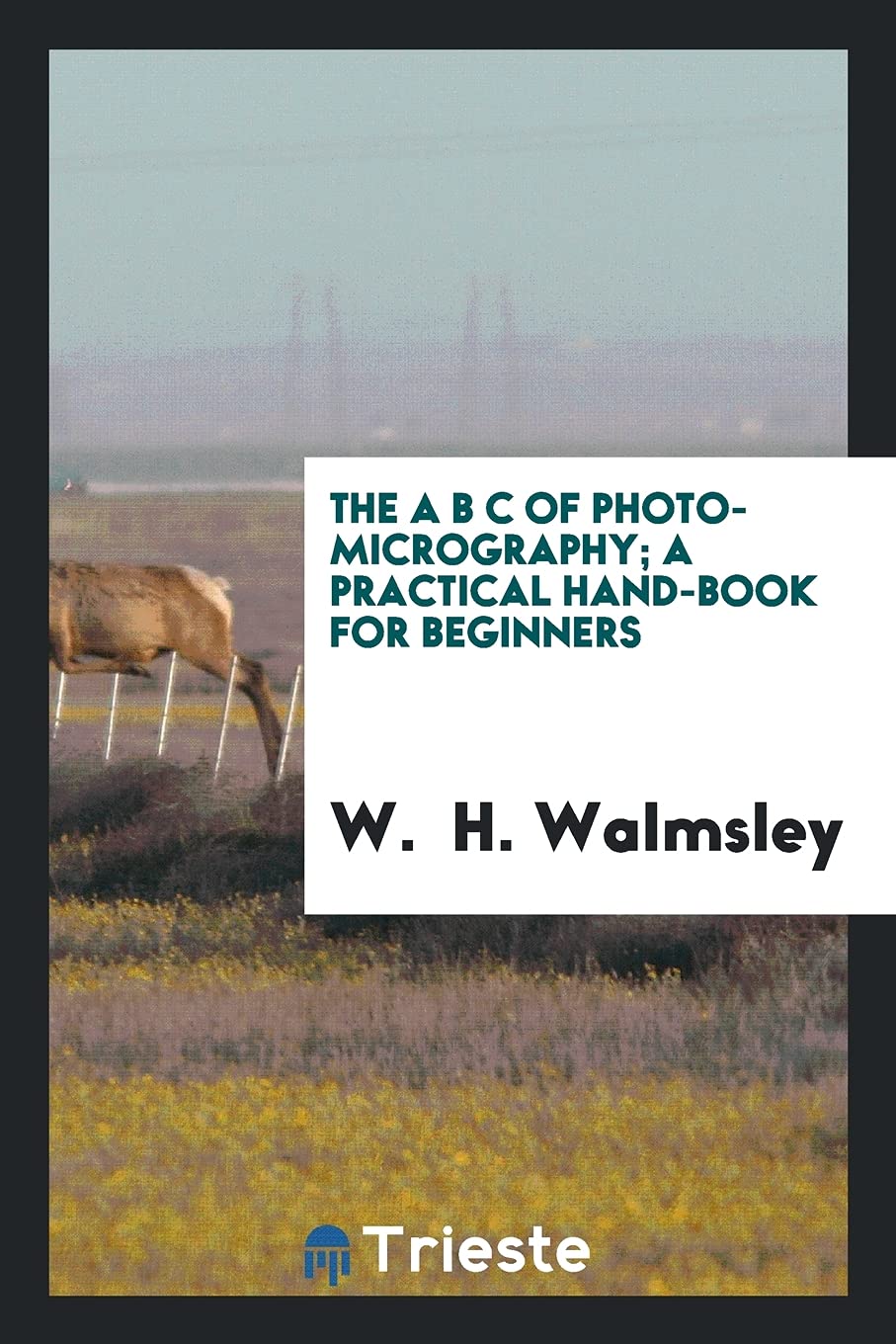 The A B C of Photo-Micrography; A Practical Hand-Book for Beginners Business & Technology