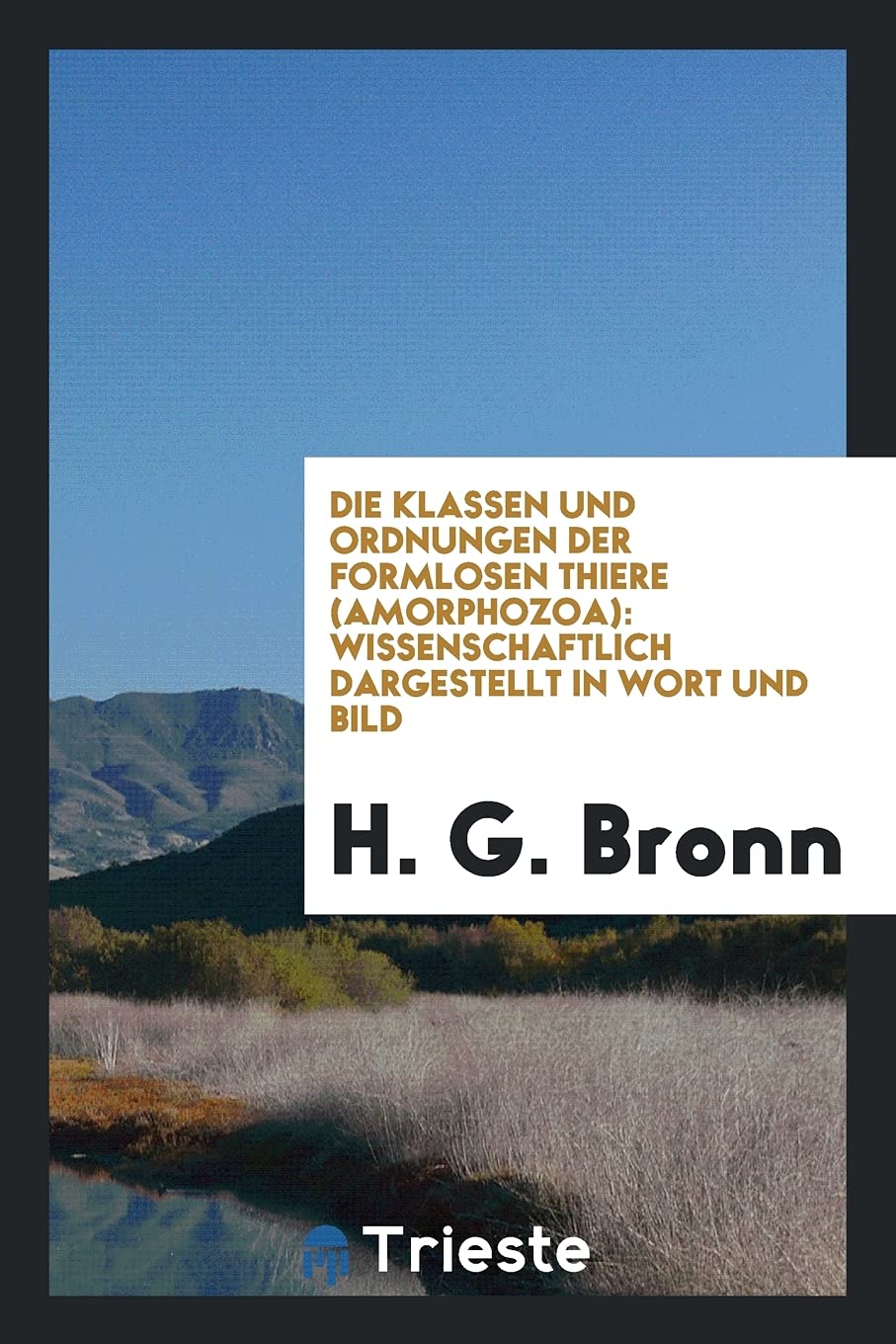 Die Klassen Und Ordnungen Der Formlosen Thiere (Amorphozoa): Wissenschaftlich Dargestellt in Wort Und Bild Books