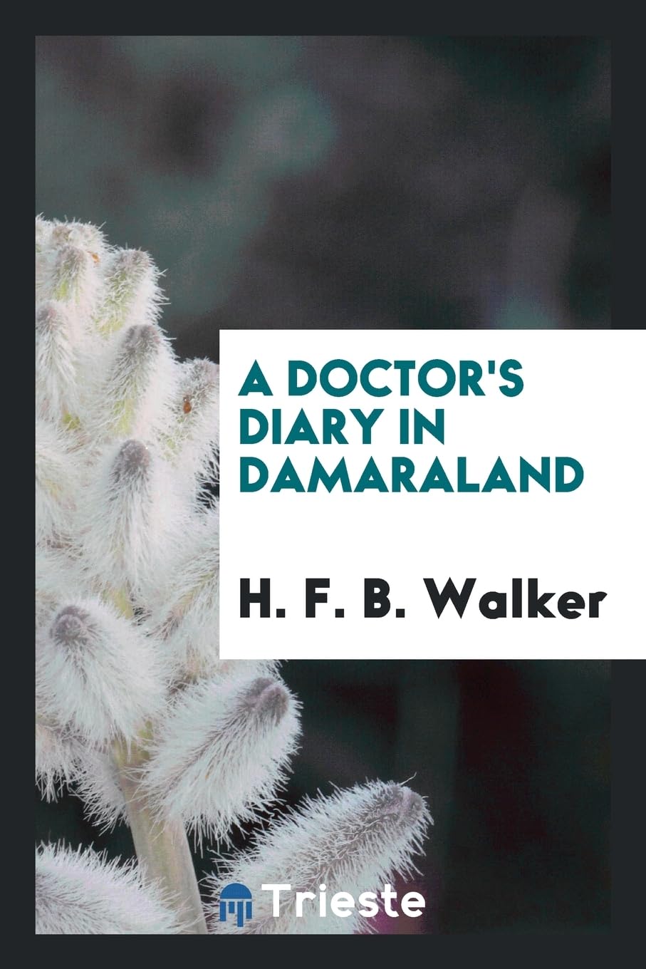 A Doctor's Diary in Damaraland Politics & History
