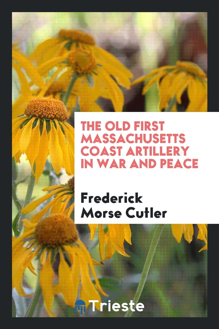 The Old First Massachusetts Coast Artillery in War and Peace Contemporary literature