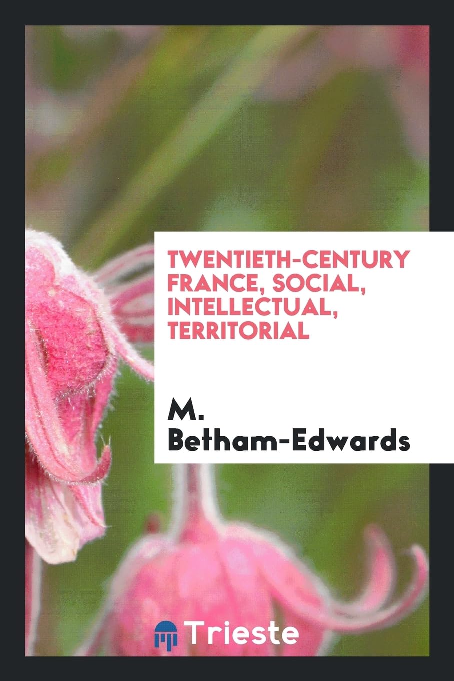 Twentieth-Century France, Social, Intellectual, Territorial Books
