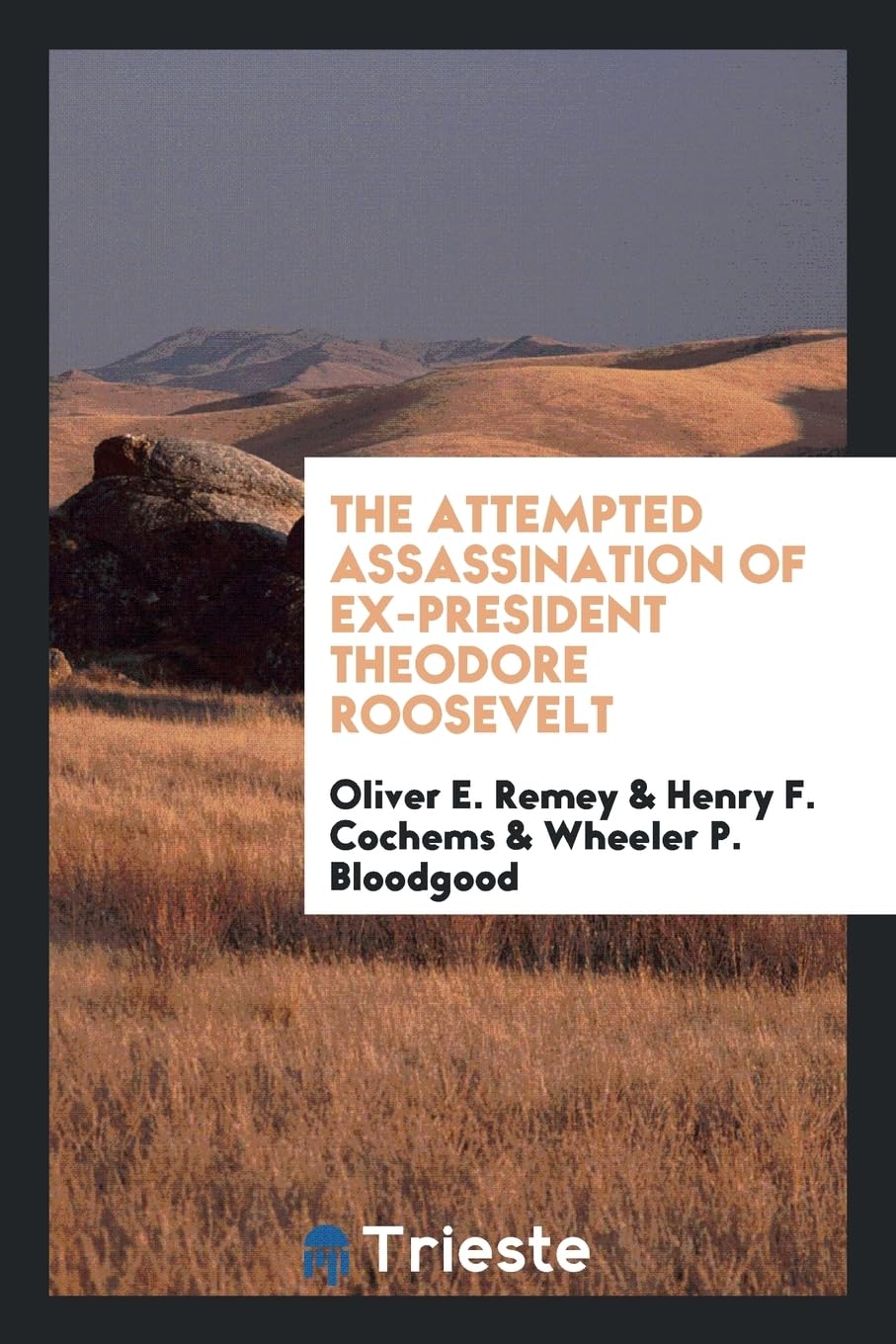 The Attempted Assassination of Ex-President Theodore Roosevelt Social Sciences
