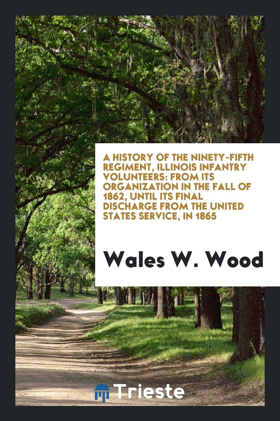 A History of the Ninety-Fifth Regiment, Illinois Infantry Volunteers: From Its Organization in the Fall of 1862, Until Its Final Discharge from the United States Service, in 1865 Books