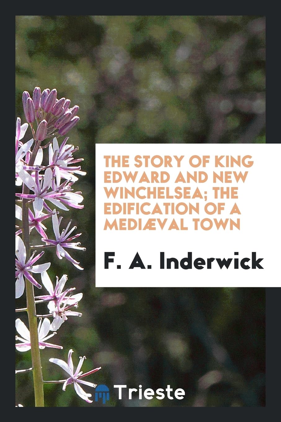 The Story of King Edward and New Winchelsea; The Edification of a Medi val Town Politics & History