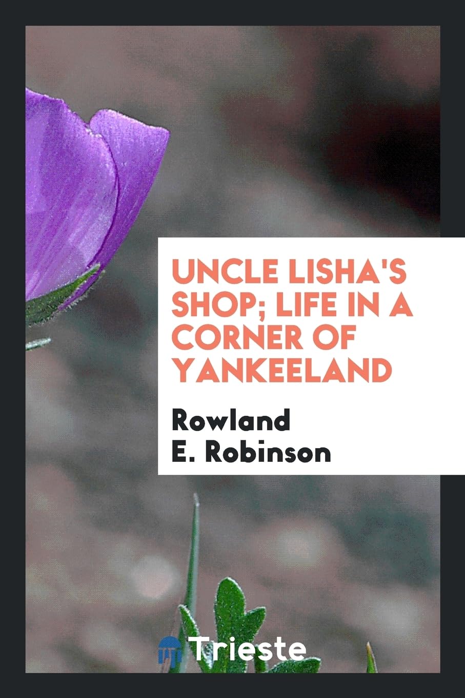 Uncle Lisha's Shop; Life in a Corner of Yankeeland Books