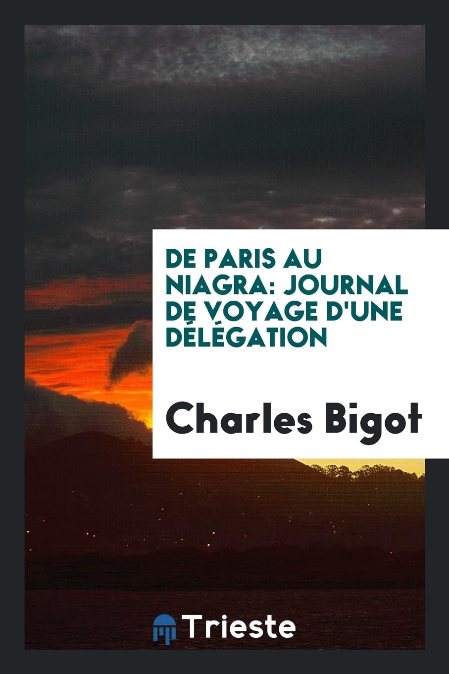 de Paris Au Niagra: Journal de Voyage d'Une D l gation Contemporary literature