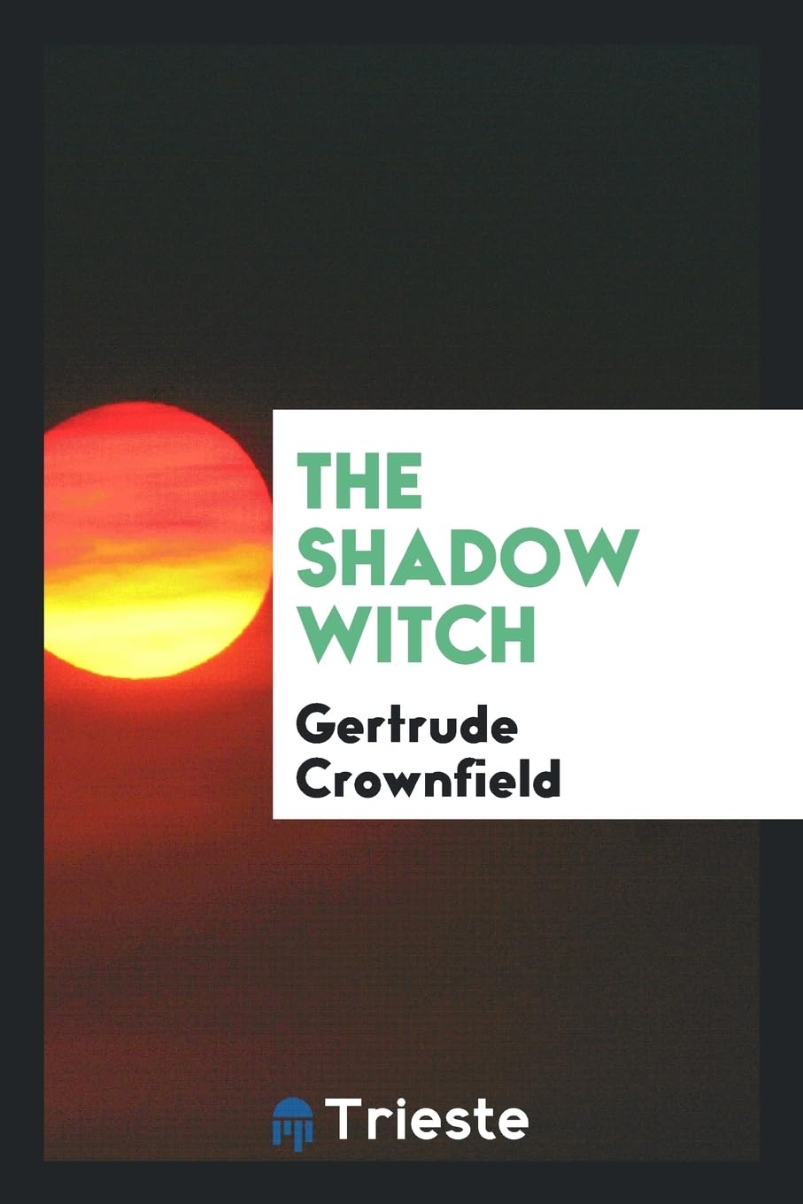 The Shadow Witch Books