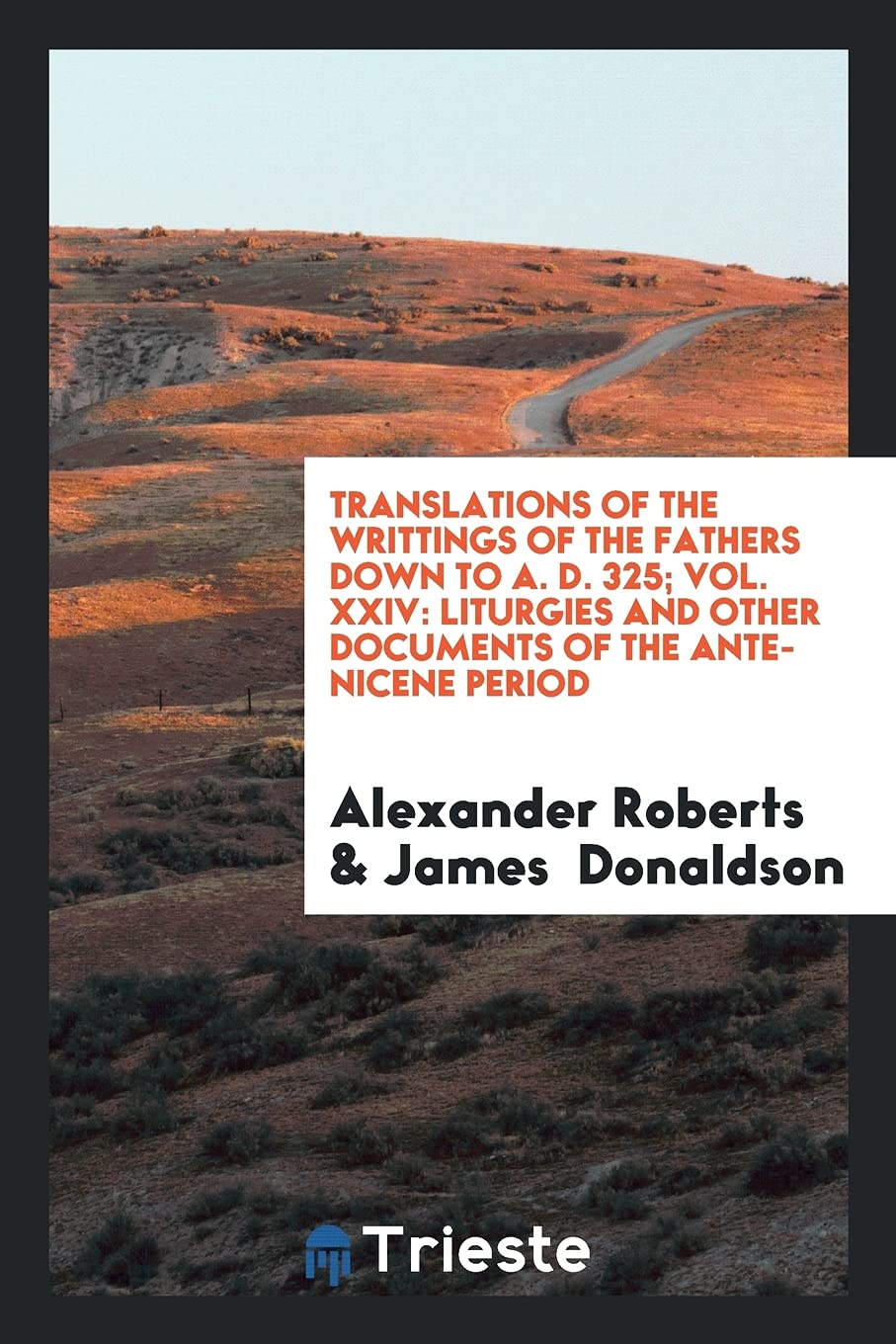 Translations of the Writtings of the Fathers Down to A. D. 325; Vol. XXIV: Liturgies and Other Documents of the Ante-Nicene Period Politics & History