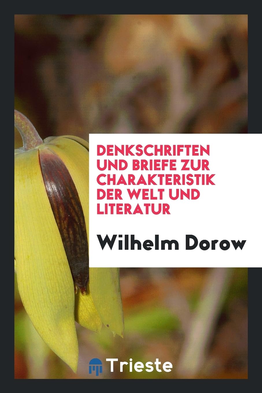 Denkschriften Und Briefe Zur Charakteristik Der Welt Und Literatur Books