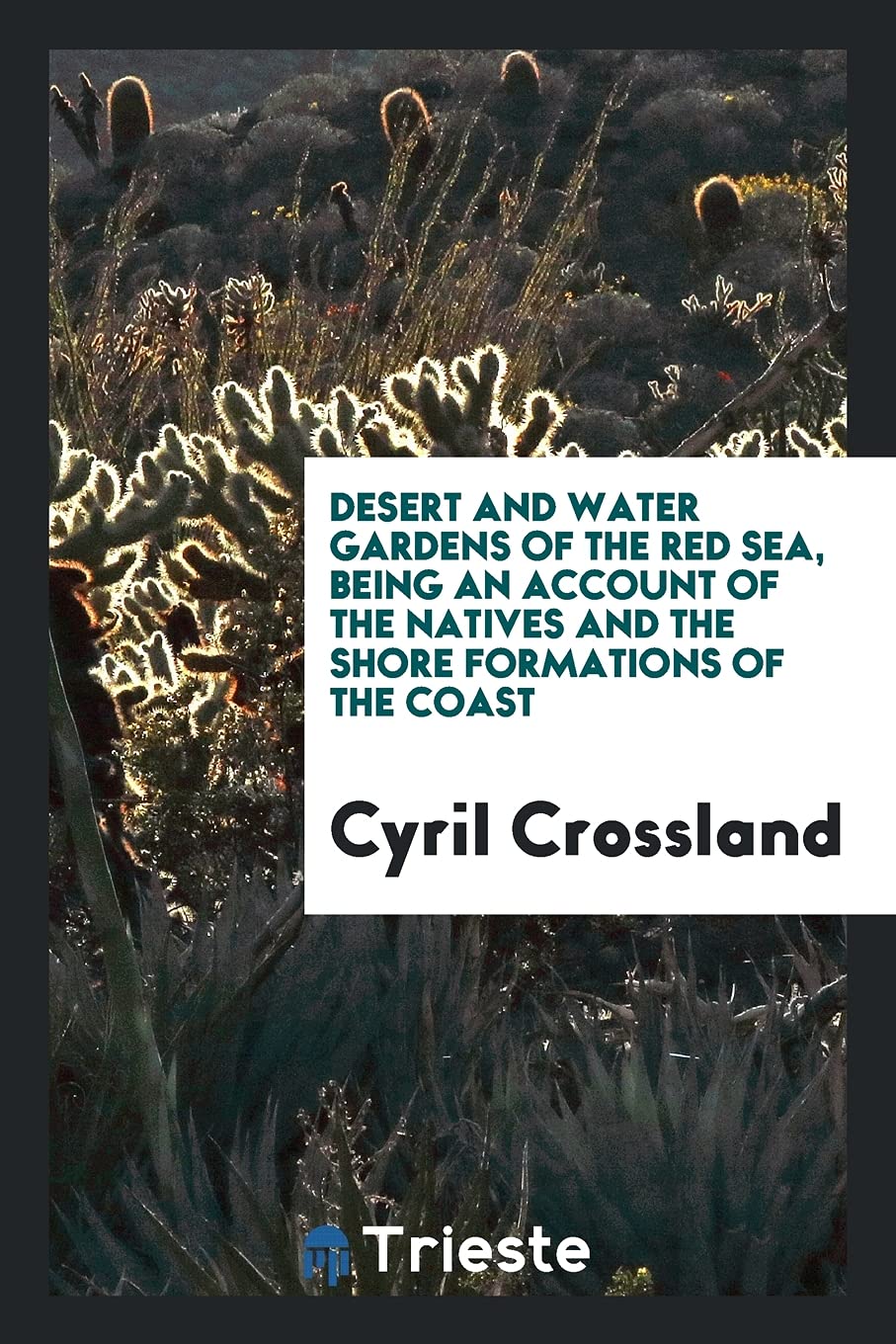 Desert and Water Gardens of the Red Sea, Being an Account of the Natives and the Shore Formations of the Coast Business & Technology