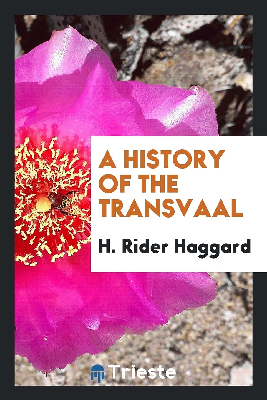 A History of the Transvaal Hobbies & Crafts