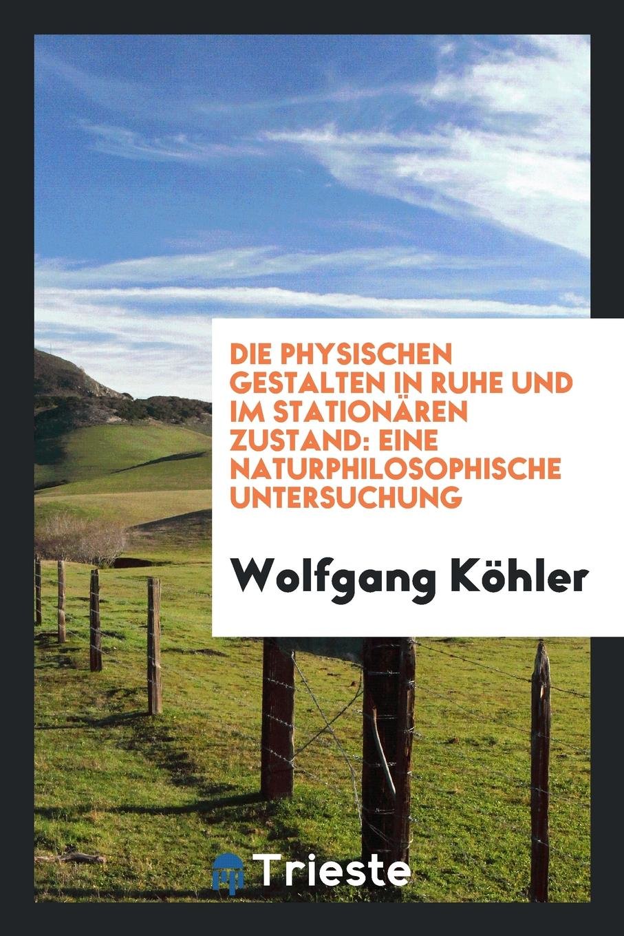 Die Physischen Gestalten in Ruhe Und Im Station ren Zustand: Eine Naturphilosophische Untersuchung Philosophy