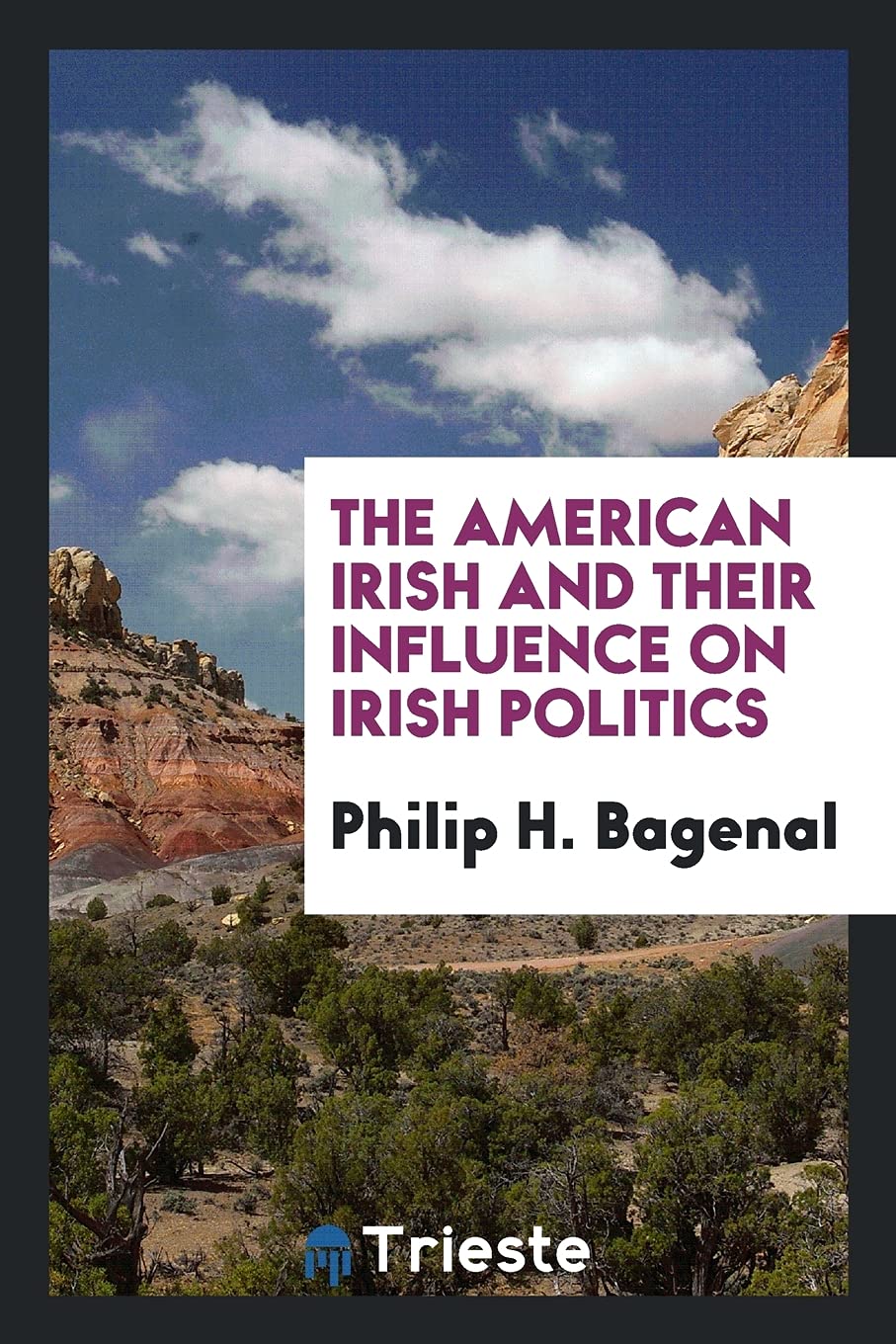 The American Irish and Their Influence on Irish Politics Social Sciences