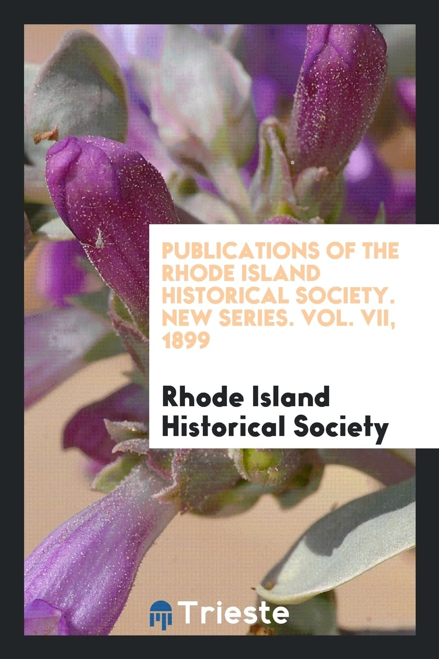 Publications of the Rhode Island Historical Society. New Series. Vol. VII, 1899 Books