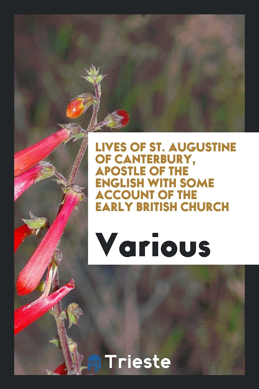 Lives of St. Augustine of Canterbury, Apostle of the English with Some Account of the Early British Church Books
