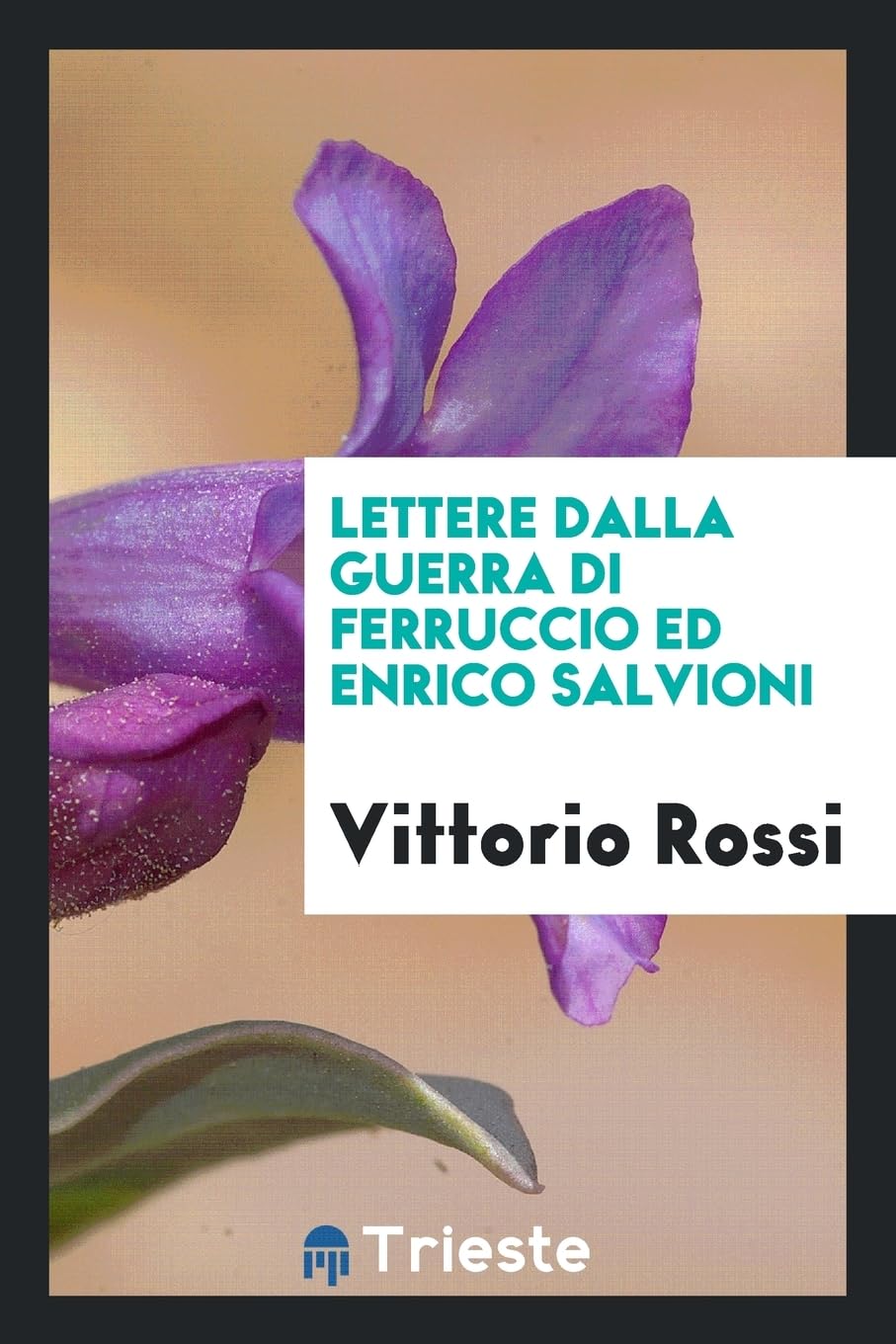 Lettere Dalla Guerra Di Ferruccio Ed Enrico Salvioni Books