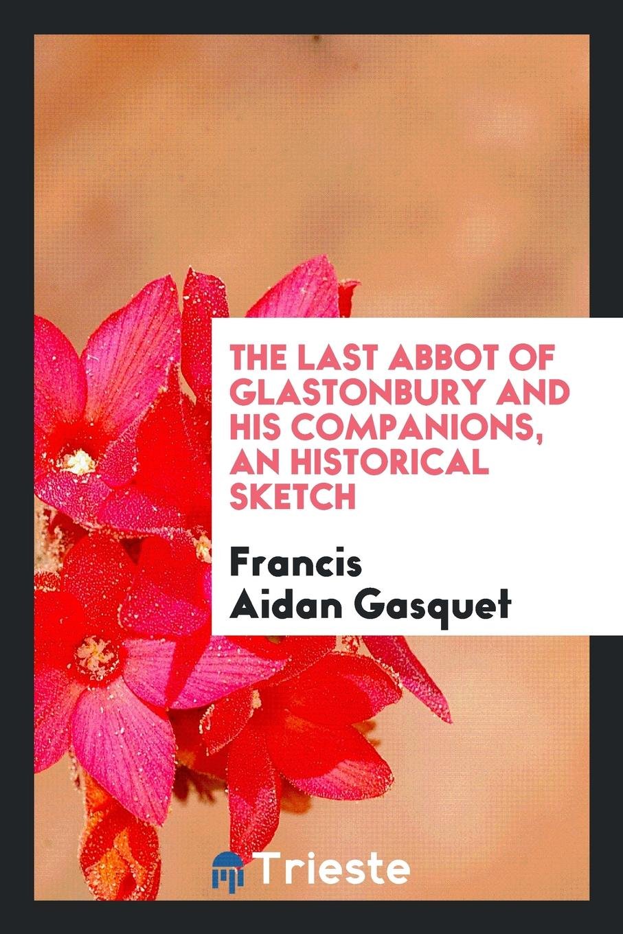 The Last Abbot of Glastonbury and His Companions, an Historical Sketch Contemporary literature Books