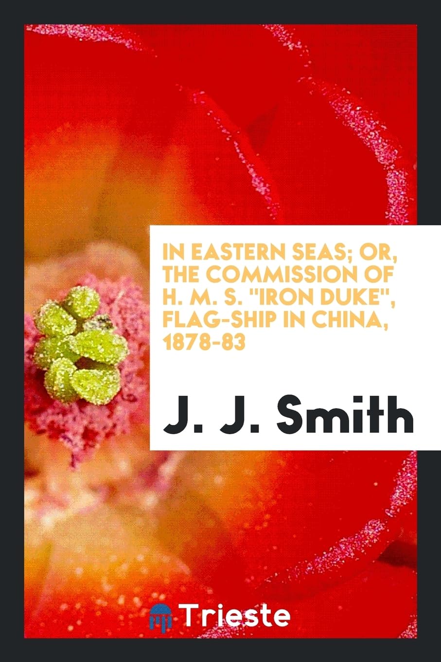 In Eastern Seas; Or, the Commission of H. M. S. Iron Duke, Flag-Ship in China, 1878-83 Books