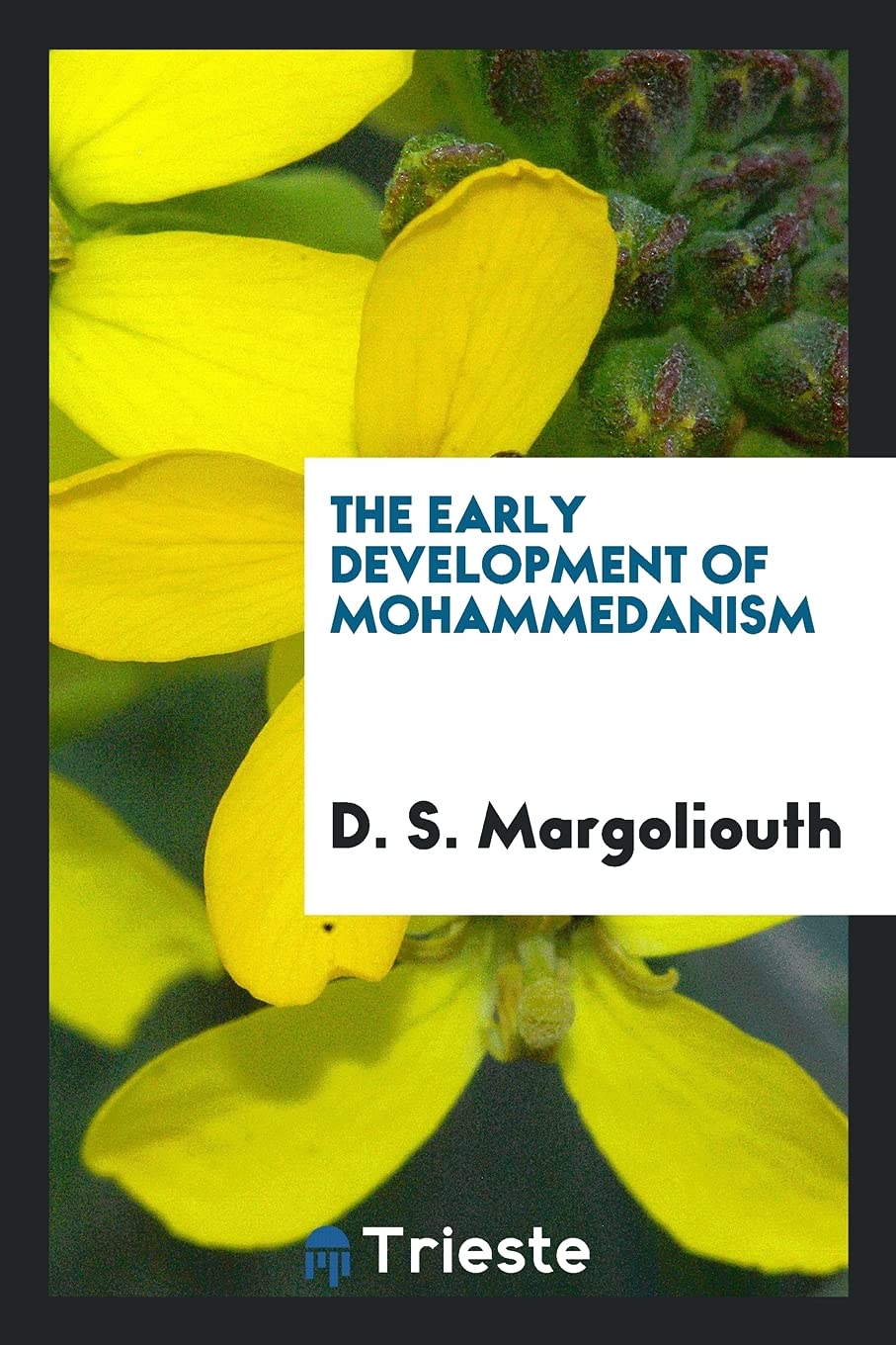 The Early Development of Mohammedanism Politics & History