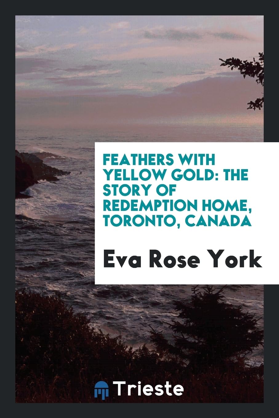 Feathers with Yellow Gold: The Story of Redemption Home, Toronto, Canada Poetry