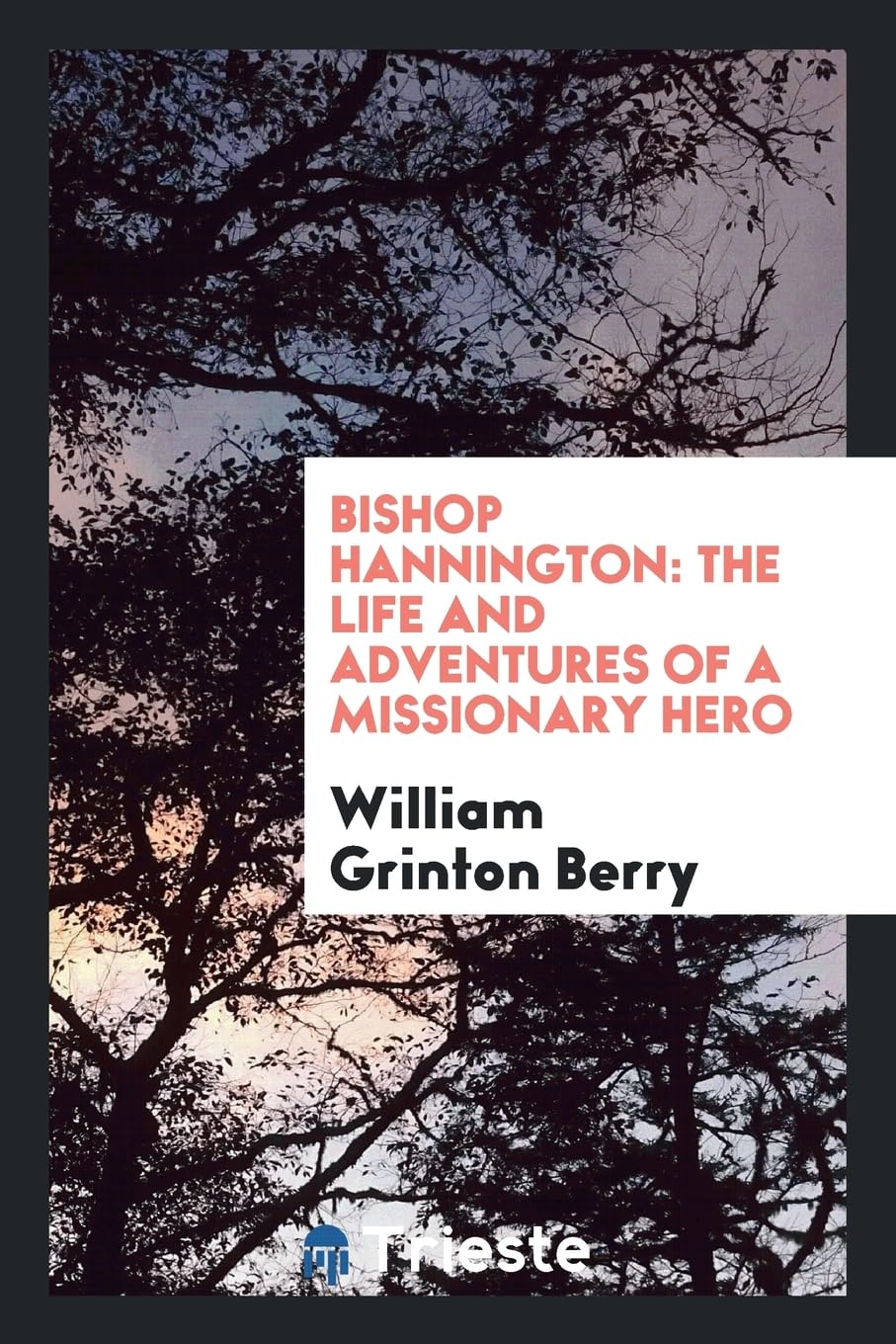 Bishop Hannington: The Life and Adventures of a Missionary Hero Politics & History