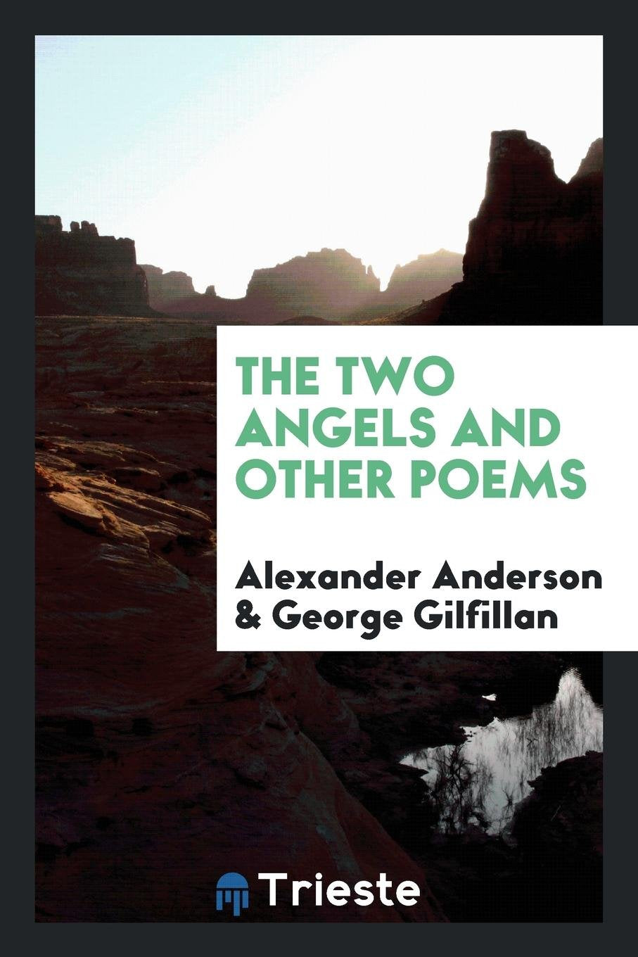 The Two Angels: And Other Poems Poetry