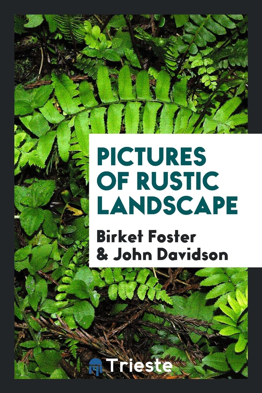 Pictures of Rustic Landscape Contemporary literature