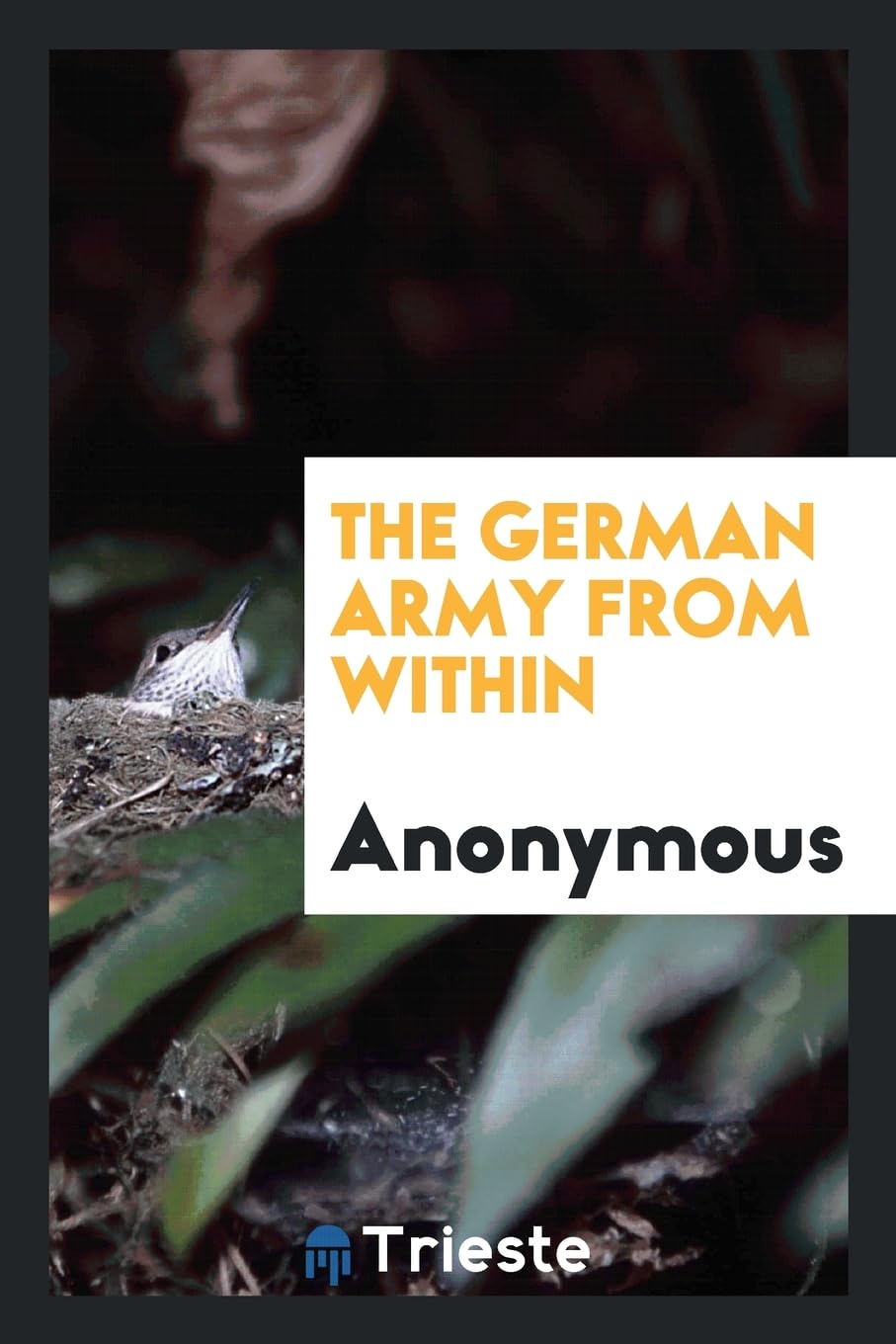 The German Army from Within Politics & History