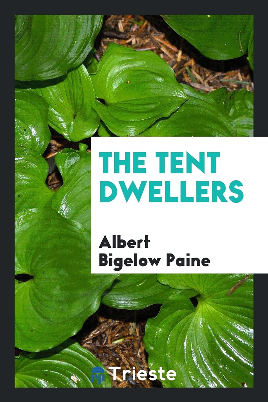 The Tent Dwellers Contemporary literature