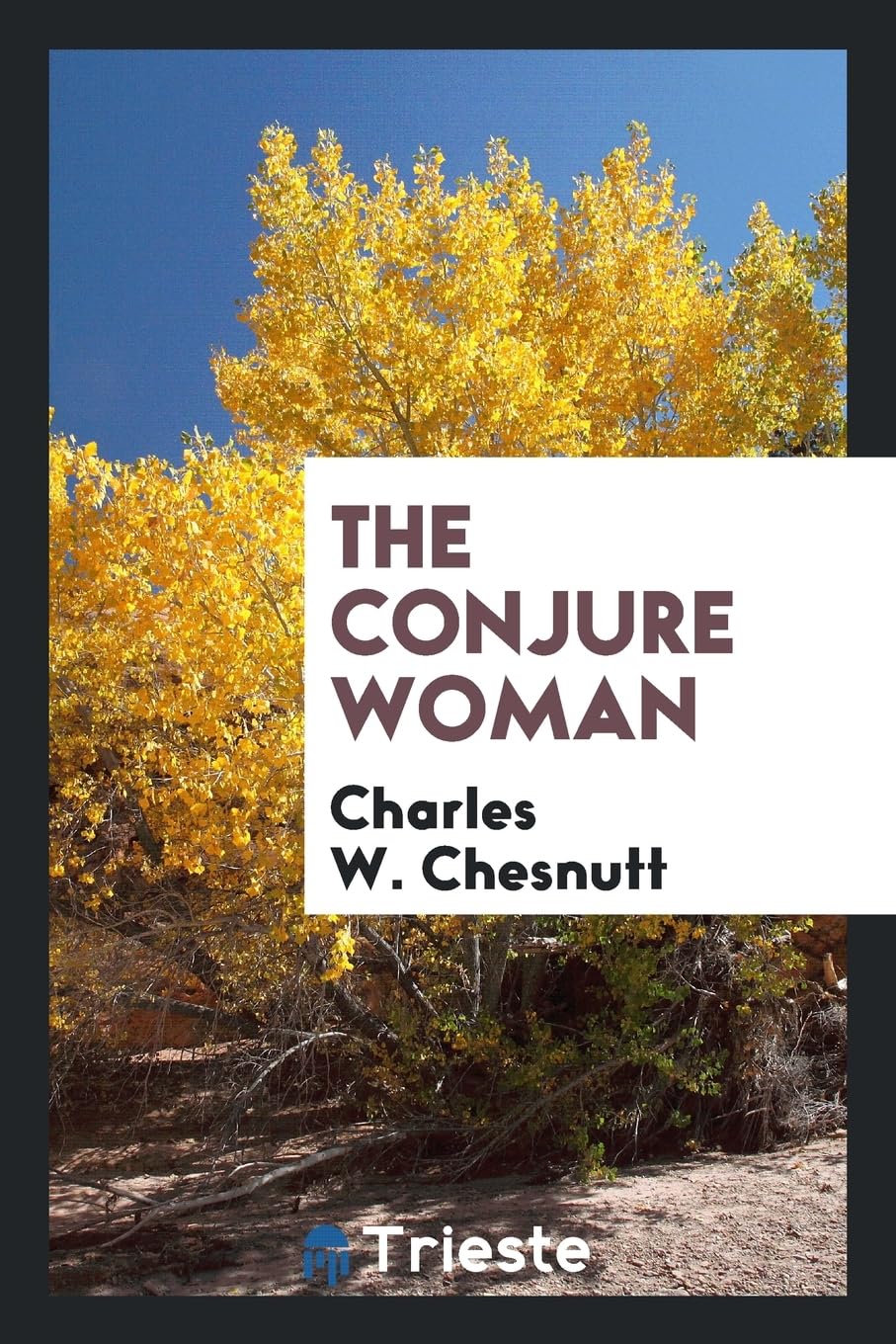 The Conjure Woman Politics & History