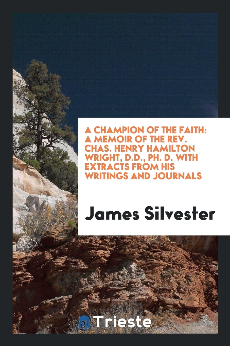 A Champion of the Faith: A Memoir of the Rev. Chas. Henry Hamilton Wright, D.D., Ph. D. with Extracts from His Writings and Journals Politics & History