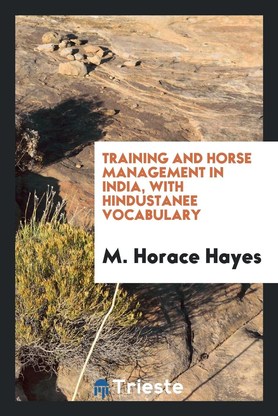 Training and Horse Management in India, with Hindustanee Vocabulary Contemporary literature