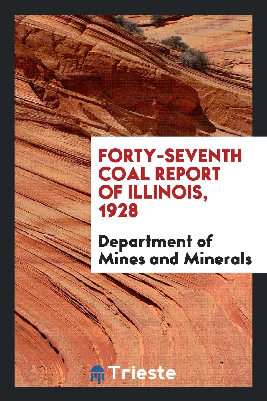 Forty-Seventh Coal Report of Illinois, 1928 Books