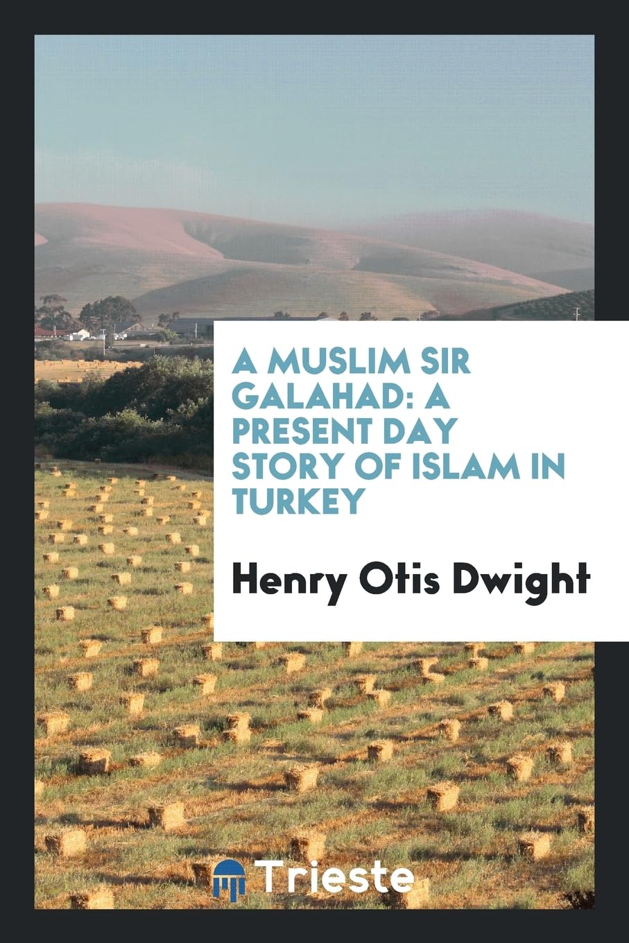 A Muslim Sir Galahad: A Present Day Story of Islam in Turkey Politics & History