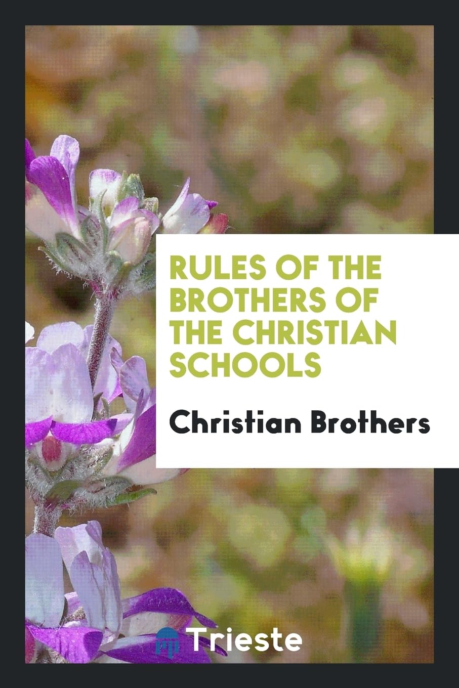 Rules of the Brothers of the Christian Schools Foreign Languages ​​& Dictionaries