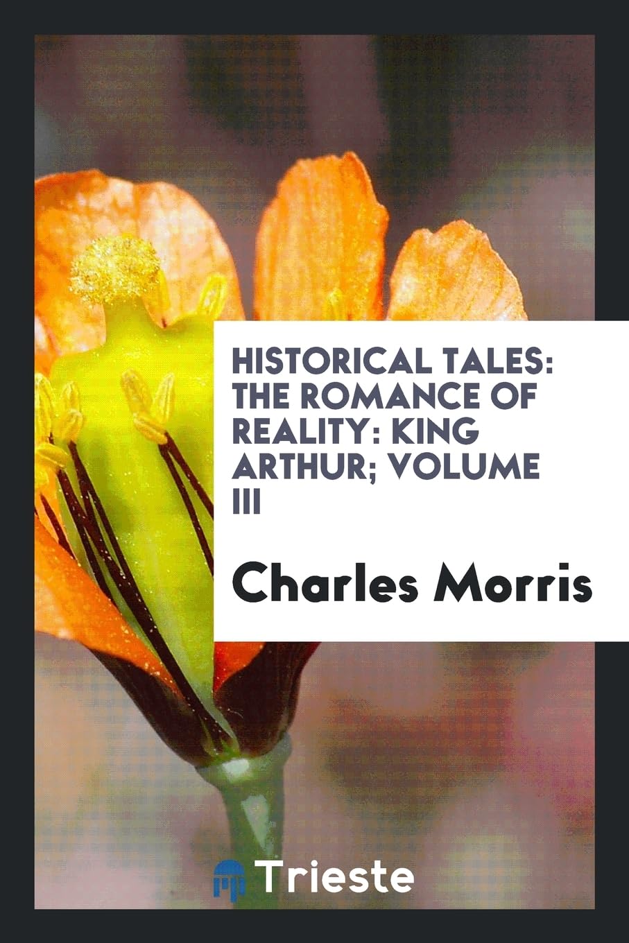 Historical Tales: The Romance of Reality: King Arthur; Volume III Books