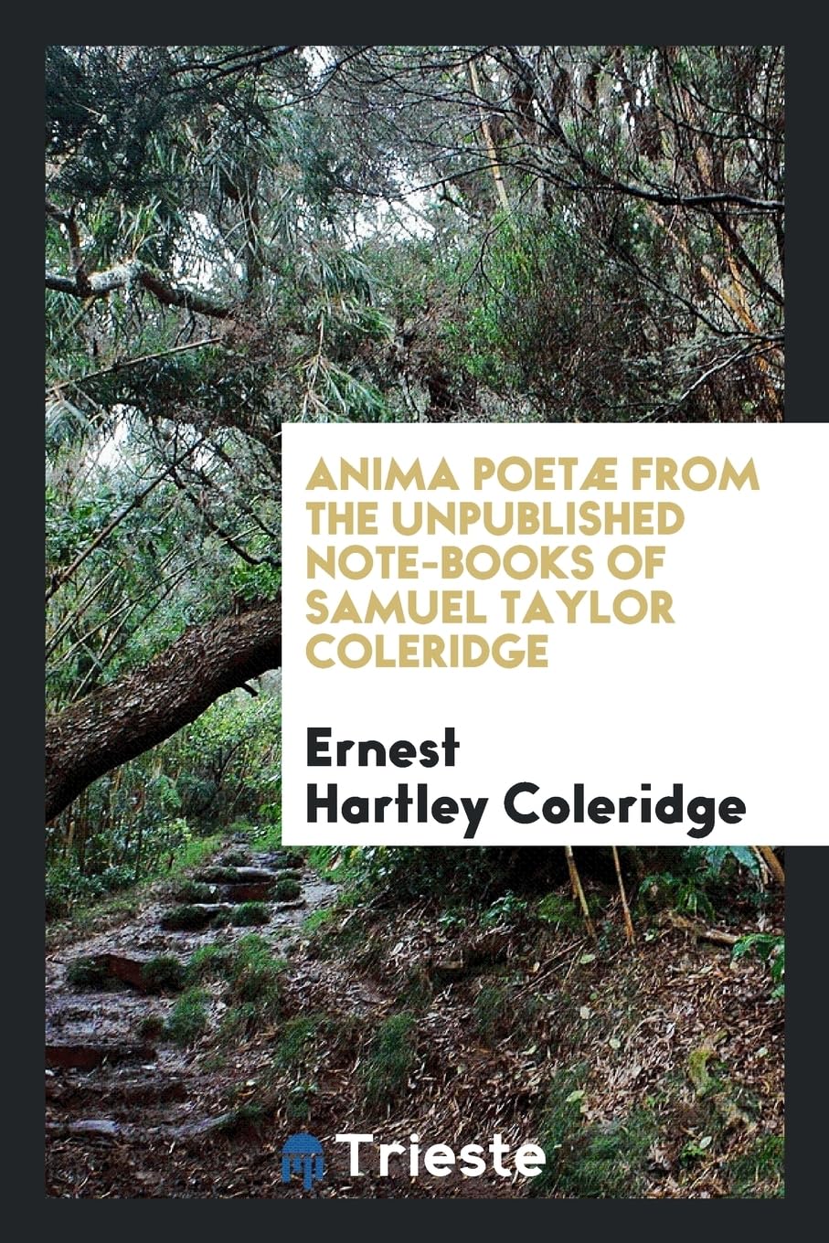 Anima Poet from the Unpublished Note-Books of Samuel Taylor Coleridge Books