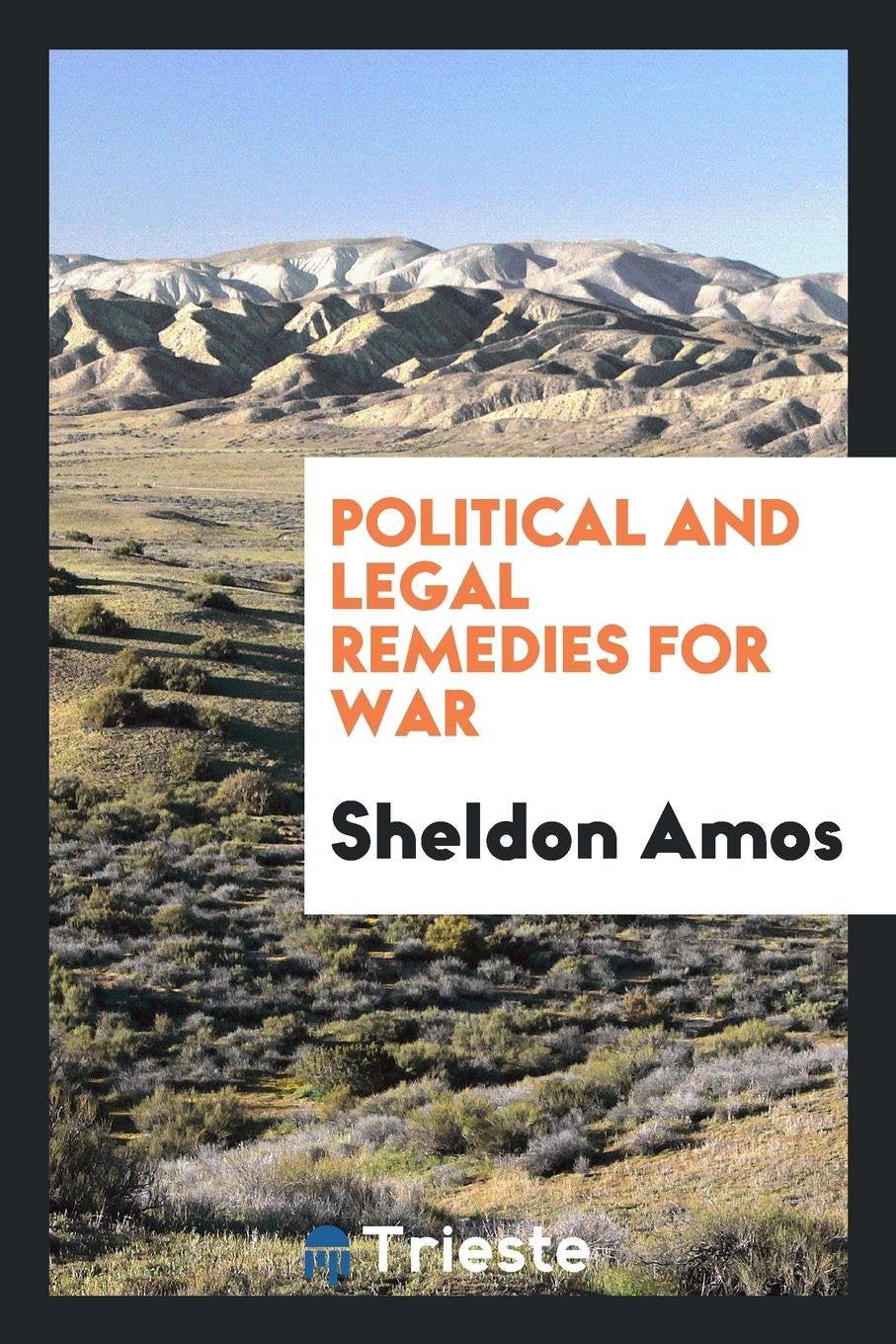 Political and Legal Remedies for War Law